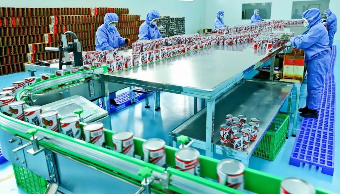 寒冬不闲 产业正热——张掖临泽冬日特色产品加工一线见闻